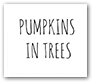 pumpkinsintrees